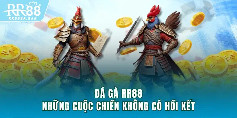 Đá gà RR88 - những cuộc chiến không có hồi kết